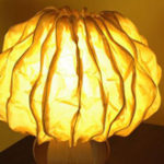 Eco-friendly Ideas from India!