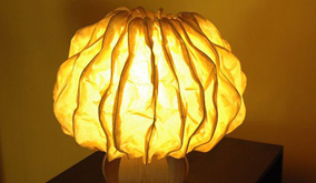 Eco-friendly Ideas from India!
