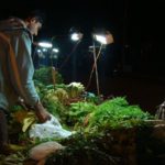 Eco-friendly Ideas from India – part 2
