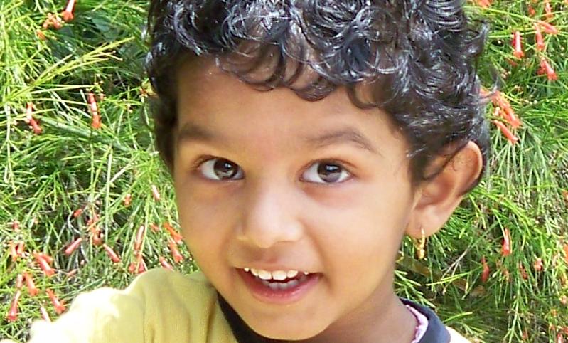Understanding Your Child’s Human Potential