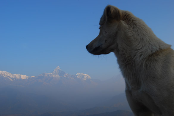 annapurna circuit annapurna circuit