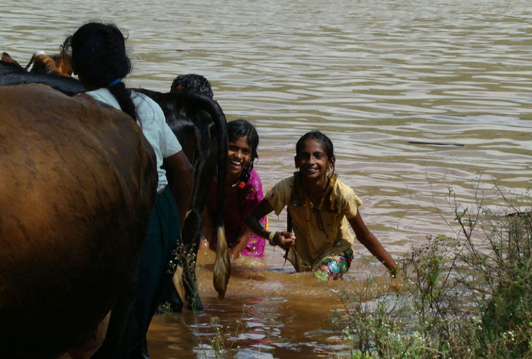 Childhood is the best time of my life essay picture