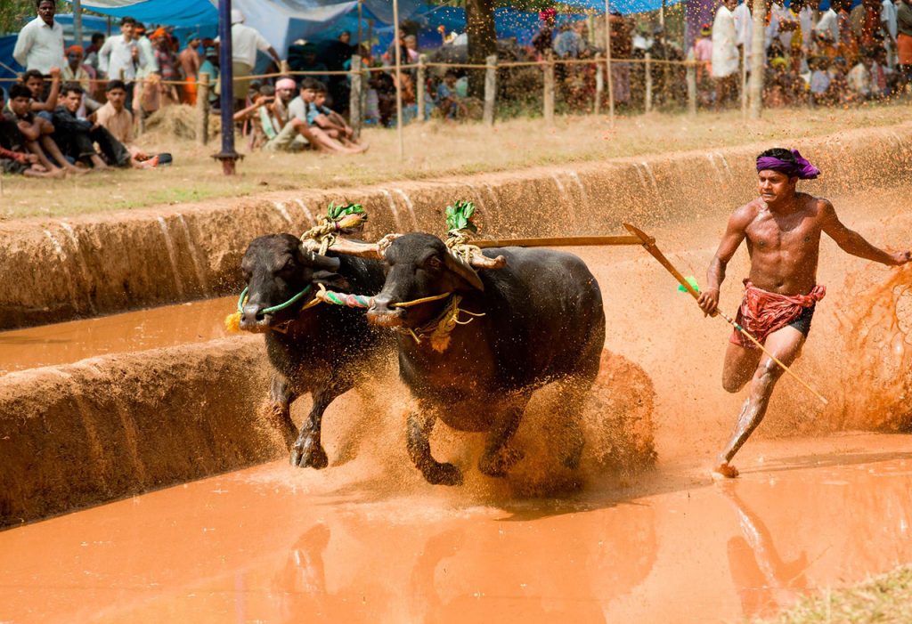 Karnataka Culture A Directory Of Rich Tradition, Art, Music, Food And