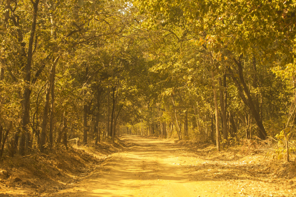 Offbeat Places in Odisha, Debrigarh Sanctuary