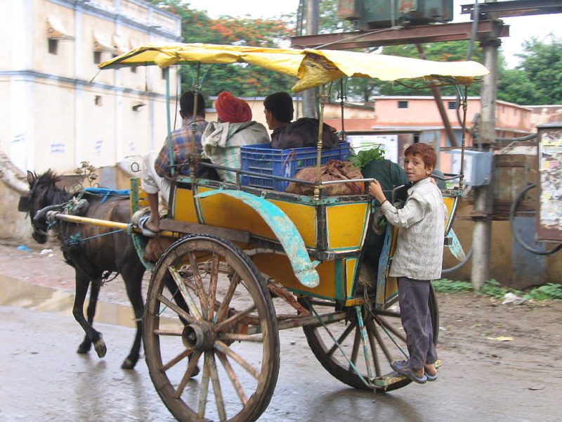 Public Transport in India A Unique Platform of Culture and Color