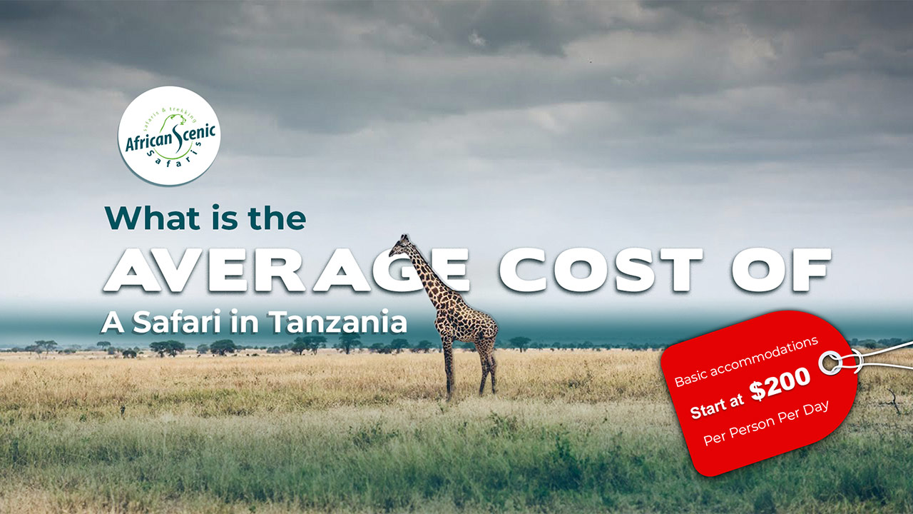 cost of safari in tanzania