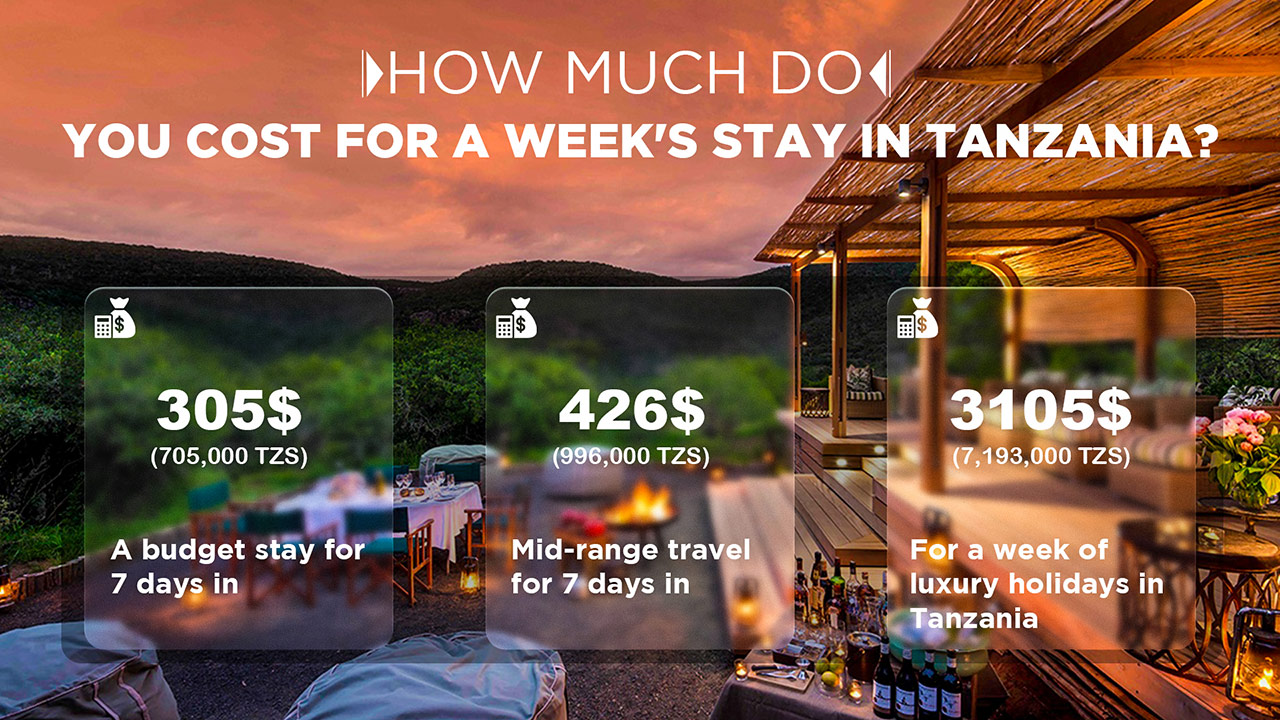 What Is The Average Cost of A Safari In Tanzania?
