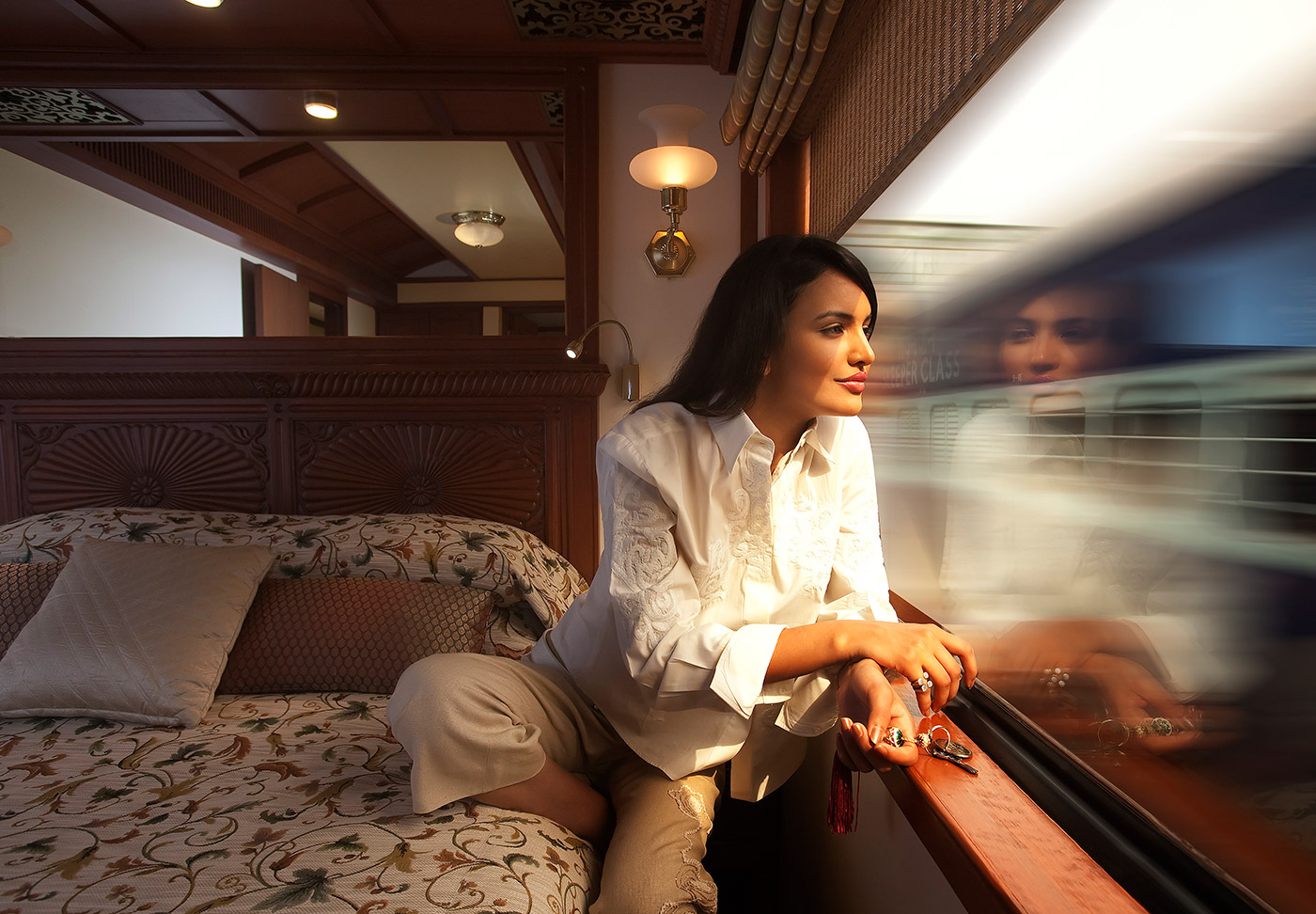 Сон ехать на поезде к чему снится. Экспресс махараджей самый роскошный поезд. Поезд Махараджа экспресс. Поезд Махараджа экспресс индийский. Девушка в поезде.