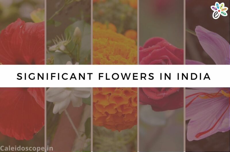 Culturally Significant Flowers in India