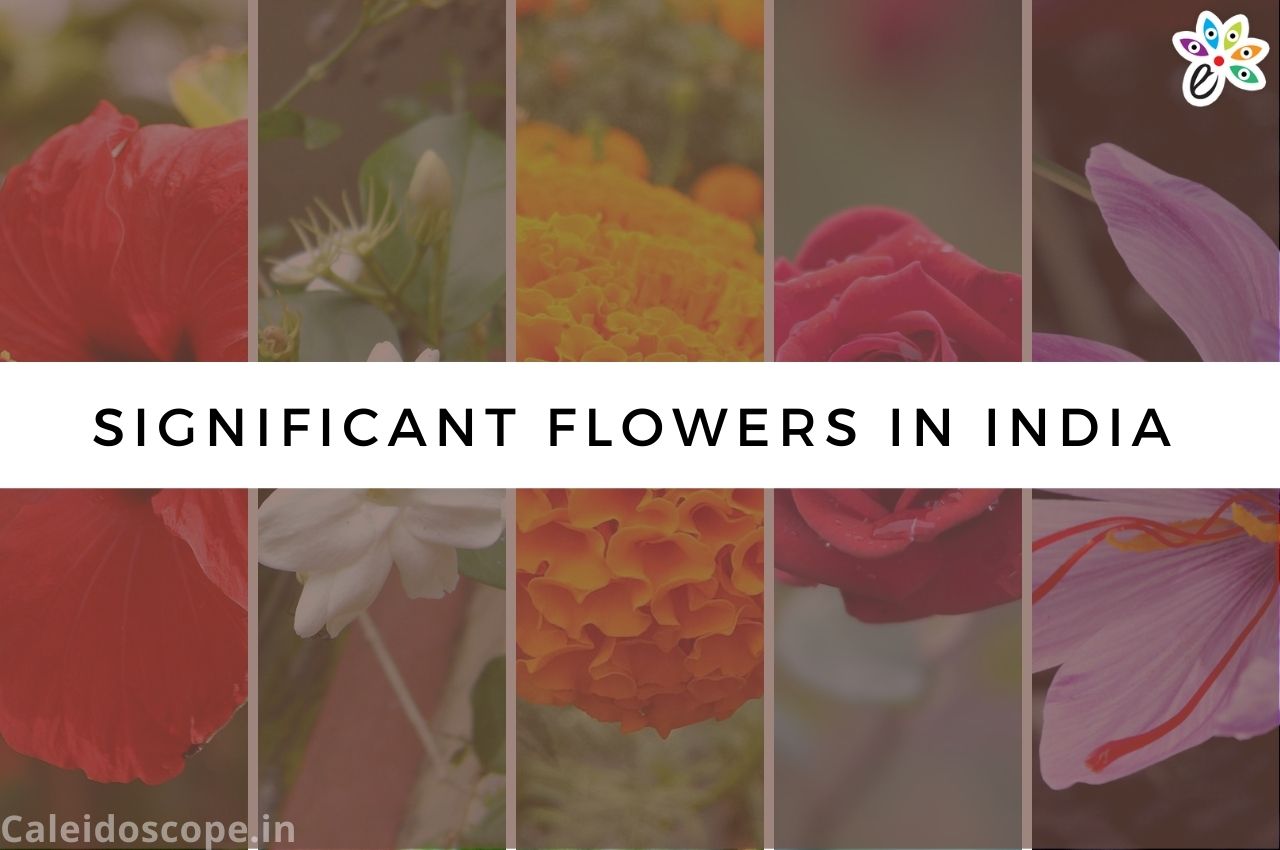 Culturally Significant Flowers In India